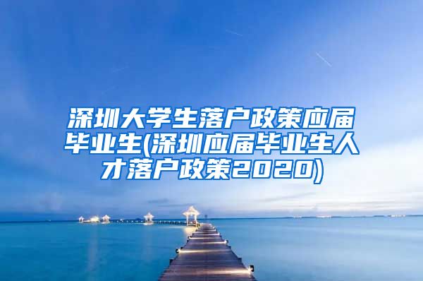 深圳大学生落户政策应届毕业生(深圳应届毕业生人才落户政策2020)