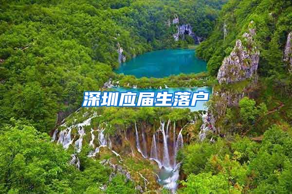 深圳应届生落户