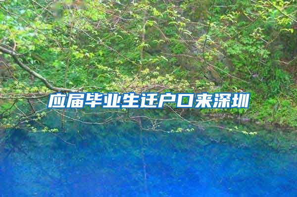 应届毕业生迁户口来深圳