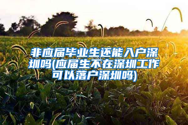 非应届毕业生还能入户深圳吗(应届生不在深圳工作可以落户深圳吗)