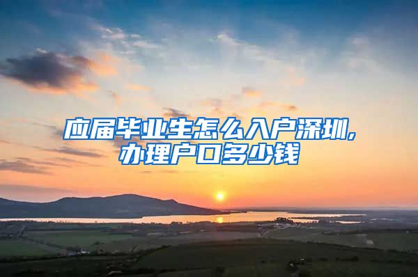 应届毕业生怎么入户深圳,办理户口多少钱
