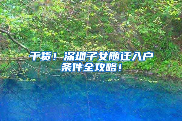 干货！深圳子女随迁入户条件全攻略！