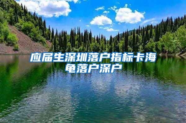 应届生深圳落户指标卡海龟落户深户