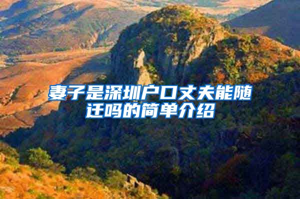 妻子是深圳户口丈夫能随迁吗的简单介绍