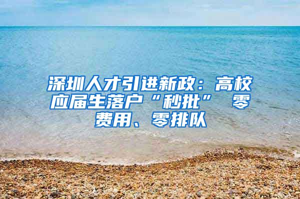 深圳人才引进新政：高校应届生落户“秒批” 零费用、零排队
