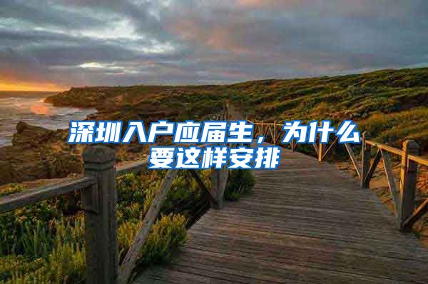深圳入户应届生，为什么要这样安排