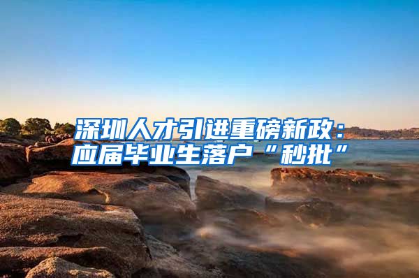 深圳人才引进重磅新政：应届毕业生落户“秒批”