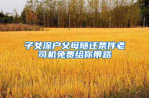 子女深户父母随迁条件老司机免费给你带路