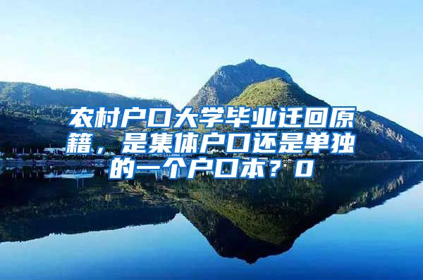农村户口大学毕业迁回原籍，是集体户口还是单独的一个户口本？0