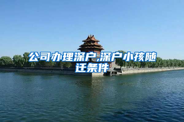 公司办理深户,深户小孩随迁条件