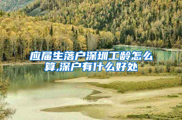 应届生落户深圳工龄怎么算,深户有什么好处