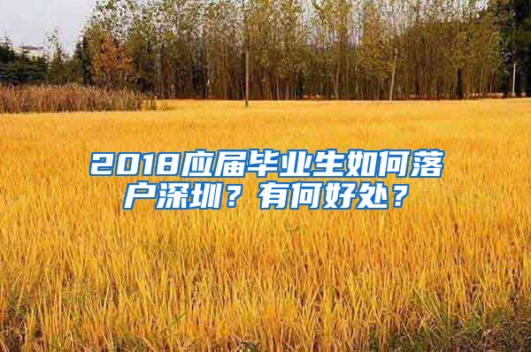 2018应届毕业生如何落户深圳？有何好处？