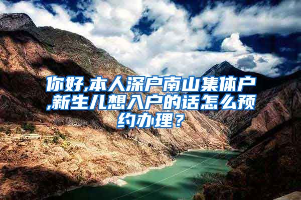 你好,本人深户南山集体户,新生儿想入户的话怎么预约办理？