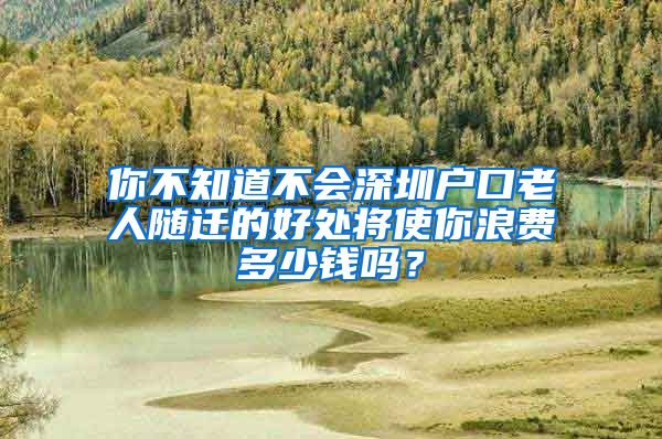 你不知道不会深圳户口老人随迁的好处将使你浪费多少钱吗？