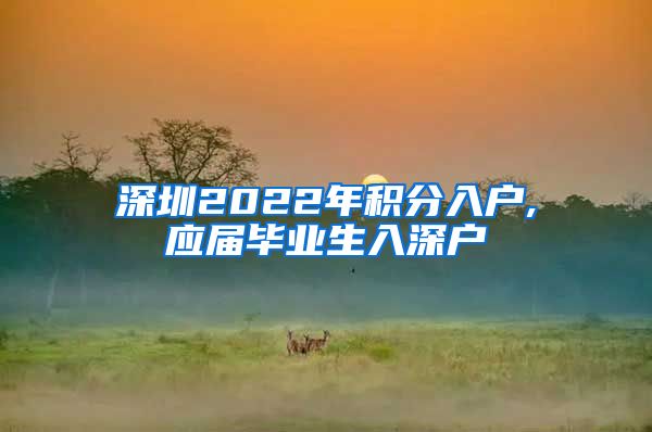 深圳2022年积分入户,应届毕业生入深户