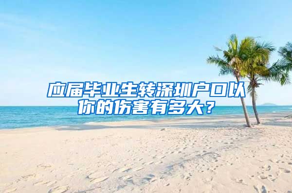 应届毕业生转深圳户口以你的伤害有多大？
