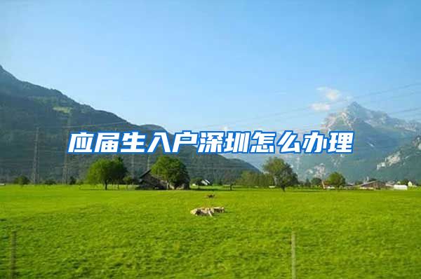 应届生入户深圳怎么办理