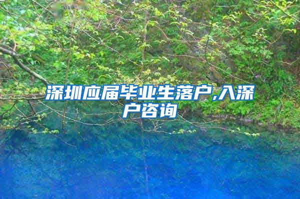 深圳应届毕业生落户,入深户咨询