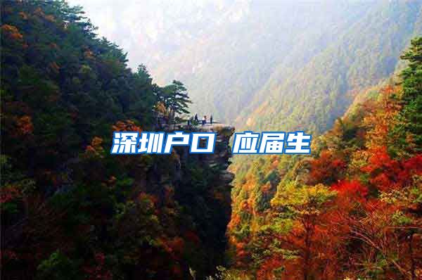 深圳户口 应届生