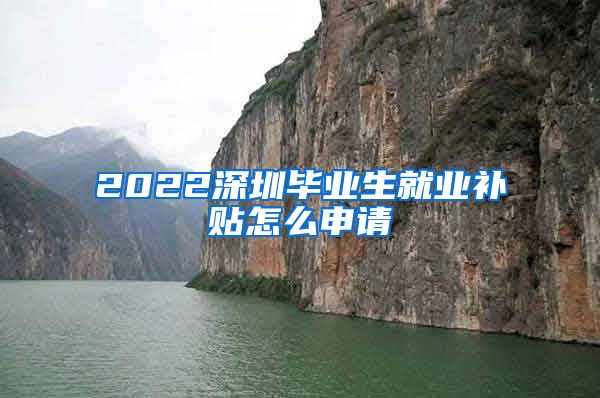 2022深圳毕业生就业补贴怎么申请
