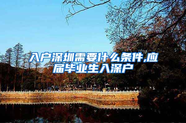入户深圳需要什么条件,应届毕业生入深户