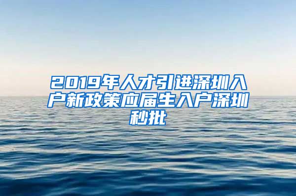 2019年人才引进深圳入户新政策应届生入户深圳秒批