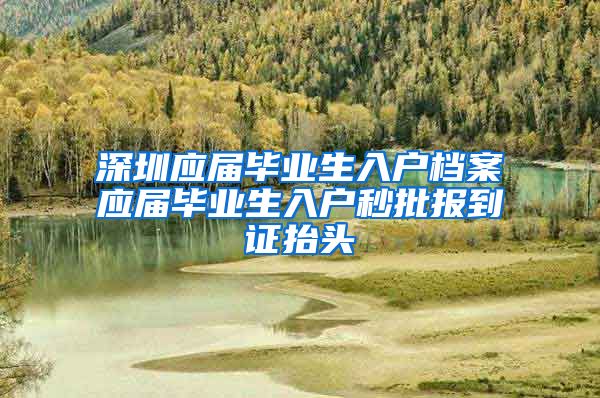 深圳应届毕业生入户档案应届毕业生入户秒批报到证抬头