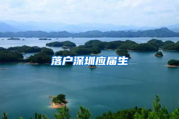 落户深圳应届生