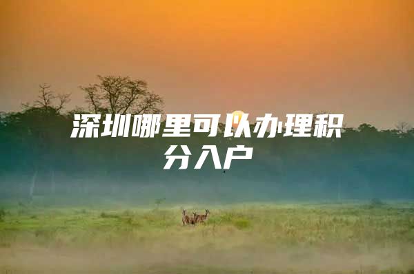 深圳哪里可以办理积分入户