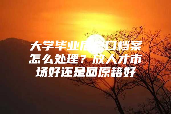 大学毕业后户口档案怎么处理？放人才市场好还是回原籍好