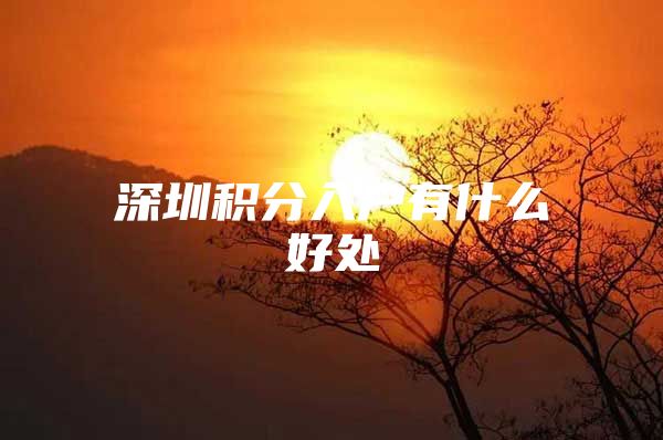 深圳积分入户有什么好处