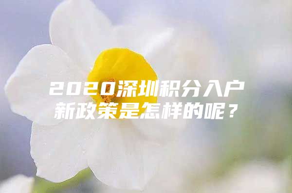 2020深圳积分入户新政策是怎样的呢？