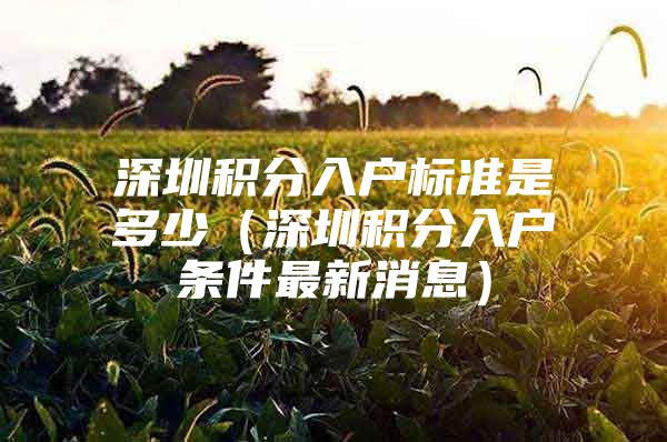 深圳积分入户标准是多少（深圳积分入户条件最新消息）