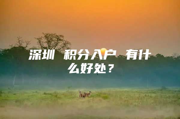 深圳 积分入户 有什么好处？