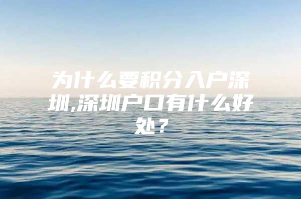 为什么要积分入户深圳,深圳户口有什么好处？