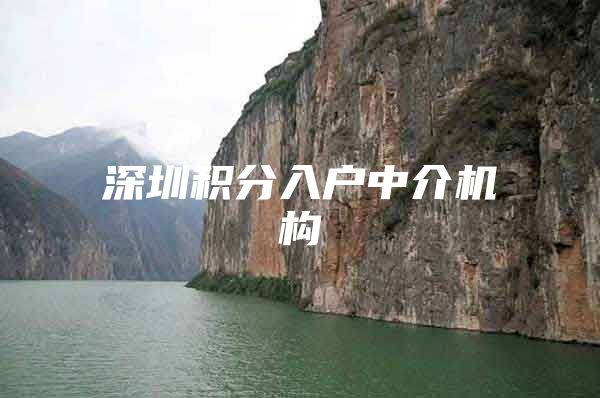 深圳积分入户中介机构