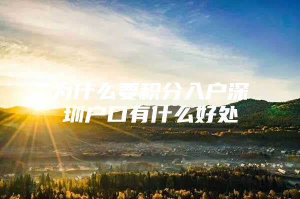 为什么要积分入户深圳户口有什么好处