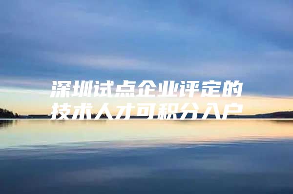 深圳试点企业评定的技术人才可积分入户