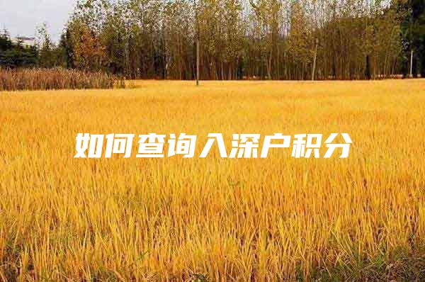 如何查询入深户积分