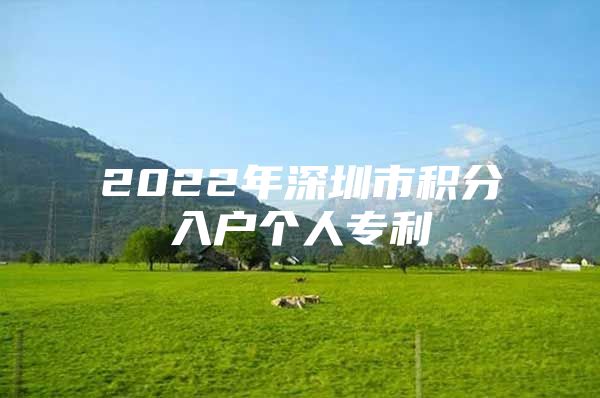 2022年深圳市积分入户个人专利