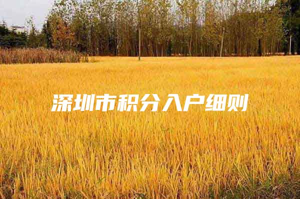深圳市积分入户细则