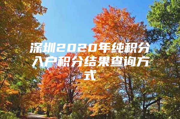 深圳2020年纯积分入户积分结果查询方式