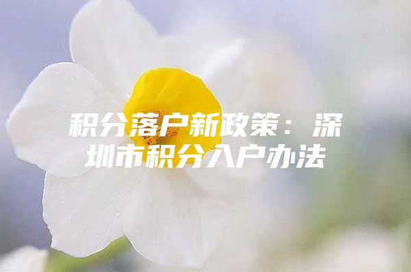 积分落户新政策：深圳市积分入户办法
