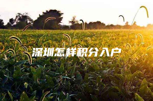 深圳怎样积分入户