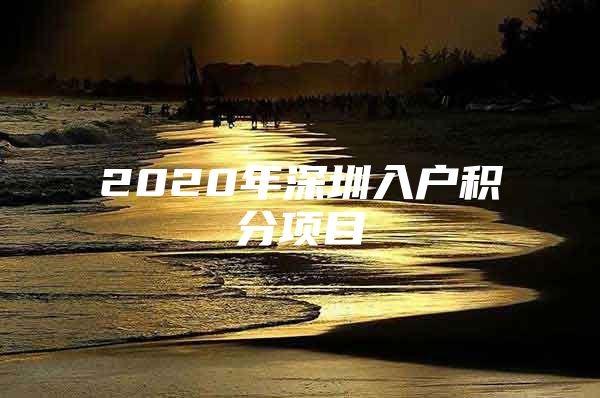 2020年深圳入户积分项目