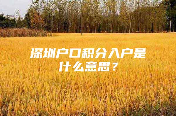 深圳户口积分入户是什么意思？