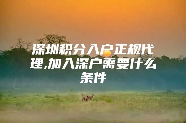 深圳积分入户正规代理,加入深户需要什么条件