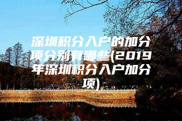 深圳积分入户的加分项分别有哪些(2019年深圳积分入户加分项)
