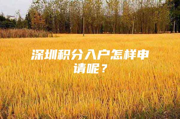 深圳积分入户怎样申请呢？