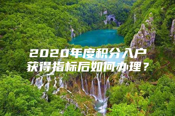 2020年度积分入户获得指标后如何办理？